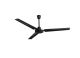 Ceiling Fan 60i Boreas 50hz Black Industrial