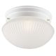 Ceiling Light Fixture White with Glass Dome