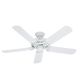 Hunter Ceiling Fan 52