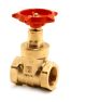 1IN BRASS GATE VALVE  1065 202009