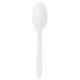 CPLA Teaspoon White